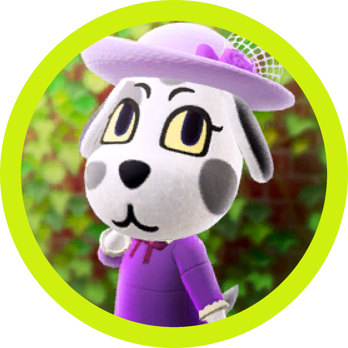 Portia