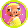 Pancetti