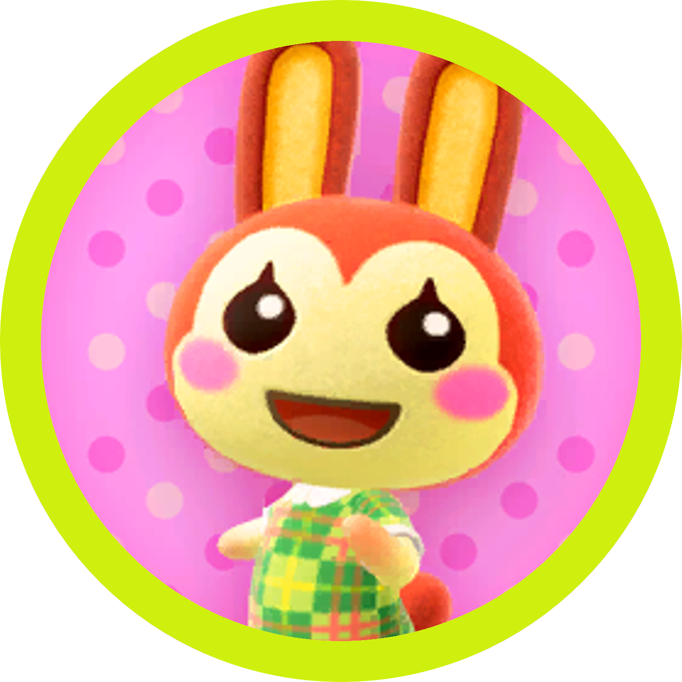 Bunnie