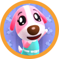 Cookie