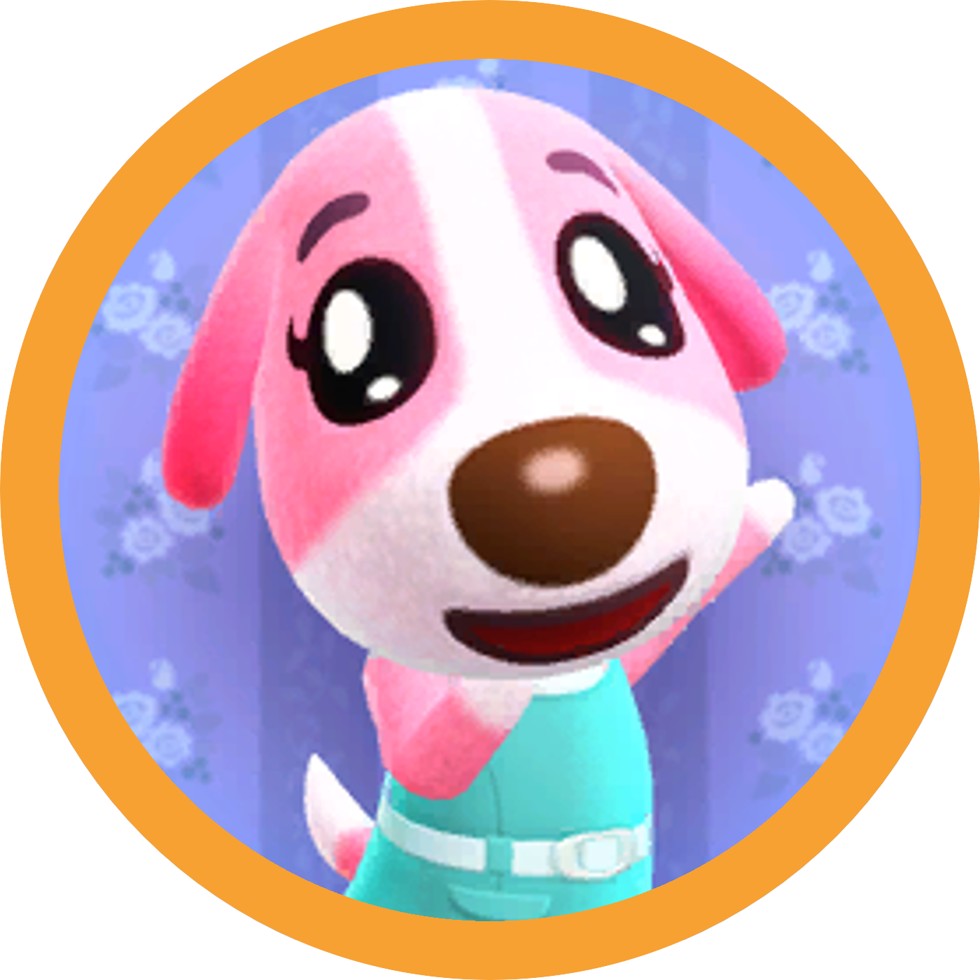Cookie