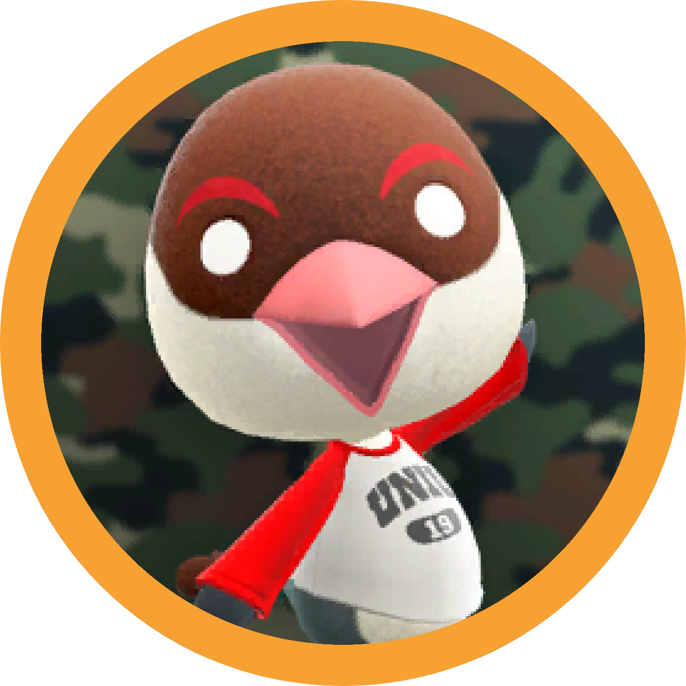 Peck