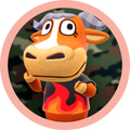 Angus