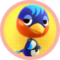Robin