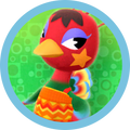 Rio